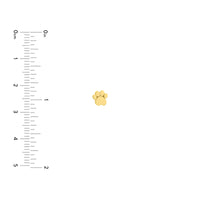14Kt Yellow Gold Dog Paw Stud Earrings