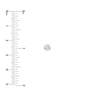 14Kt White Gold Flat Round Pebble Stud Earrings