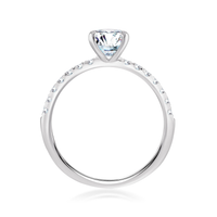 Pure Lasker Platinum Collection 3mm Galaxy Ring Mounting with .25cttw Natural Diamonds