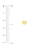 14Kt Yellow Gold Classic Stud Earrings