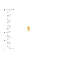 14Kt Yellow Gold Double Bead Stud Earrings