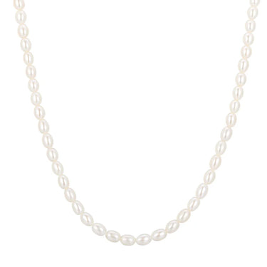 Gold Shell Pearl Beaded Necklace